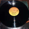 LP Vinil Fábio Jr. - Vida