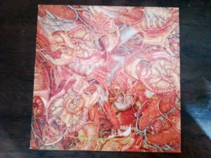 IMG_20260515_184429 LP Vinil Titãs - Tudo Ao Mesmo Tempo Agora