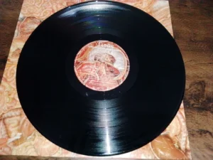 IMG_20260515_184617 LP Vinil Titãs - Tudo Ao Mesmo Tempo Agora