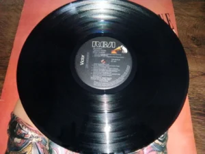LP Vinil Alcione - Nosso Nome: Resistência