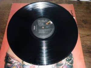 LP Vinil Alcione - Nosso Nome: Resistência