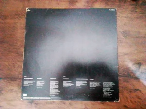 IMG_20260612_144353 LP Vinil Pet Shop Boys - Introspective