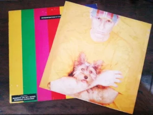 IMG_20260612_144411 LP Vinil Pet Shop Boys - Introspective