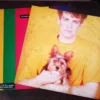 IMG_20260612_144417 LP Vinil Pet Shop Boys - Introspective