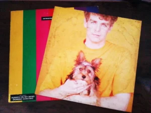 IMG_20260612_144417 LP Vinil Pet Shop Boys - Introspective
