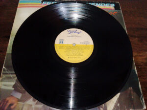 LP Vinil Fernanda Mendes - Feitiço