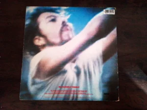IMG_20260717_191035 LP Vinil Eurythmics - Be Yourself Tonight (Edição EUA)