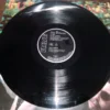 LP Vinil Eurythmics - In The Garden (Importado Ed. Alemanha)