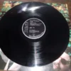 LP Vinil Eurythmics - In The Garden (Importado Ed. Alemanha)