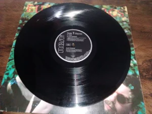 LP Vinil Eurythmics - In The Garden (Importado Ed. Alemanha)