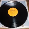 IMG_20260915_184407 LP Vinil REO Speedwagon - You Can Tune A Piano, But You Can't Tuna Fish